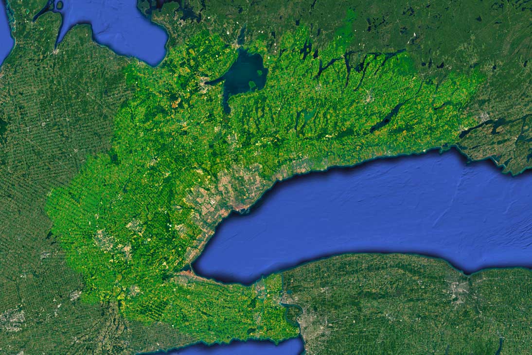 Greater Tkaronto (Toronto) Bioregion
