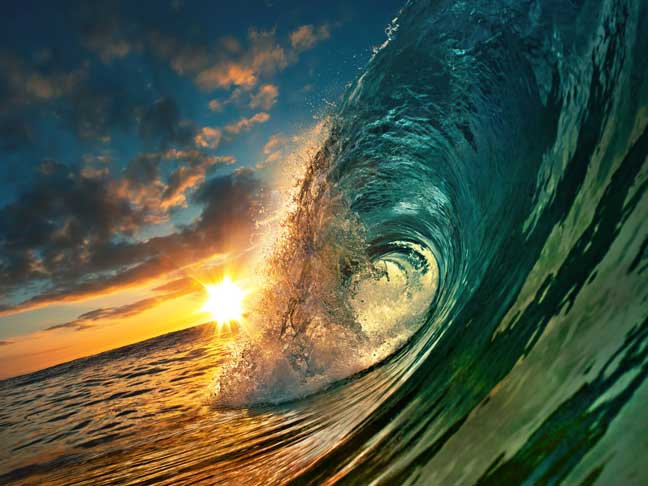 The Great (Re)Turning… Toward Bioregional Earth