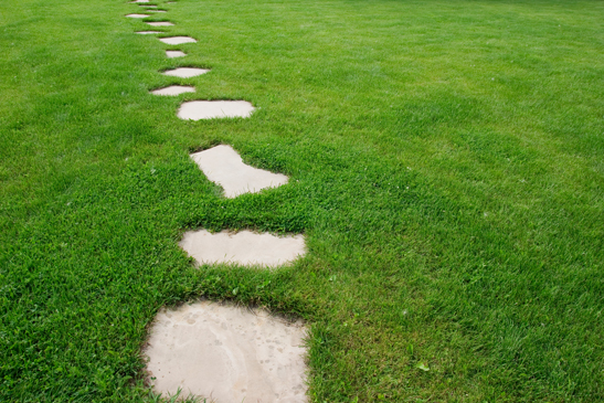 Wellbeing Path